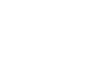 V2 logo