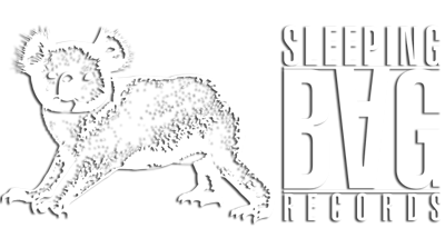 Sleeping Bag logo