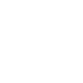 Blue Horizon logo